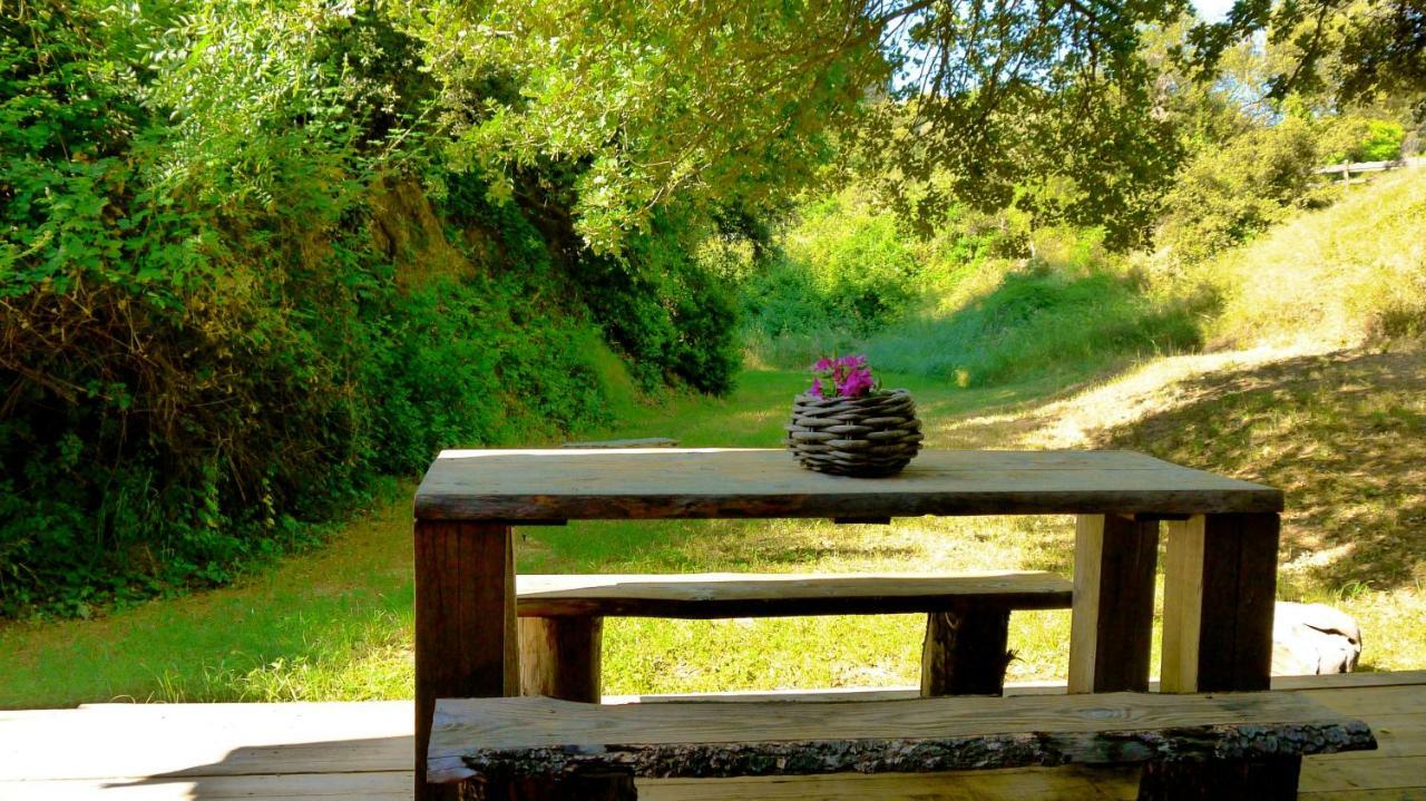 Domaine Sainte Colombe Hotel Bagian luar foto